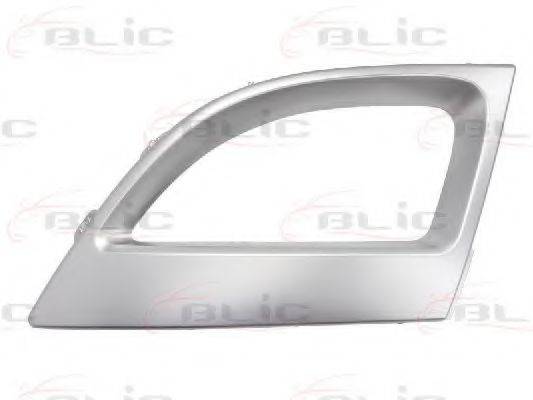 BLIC 5510-00-6046991P