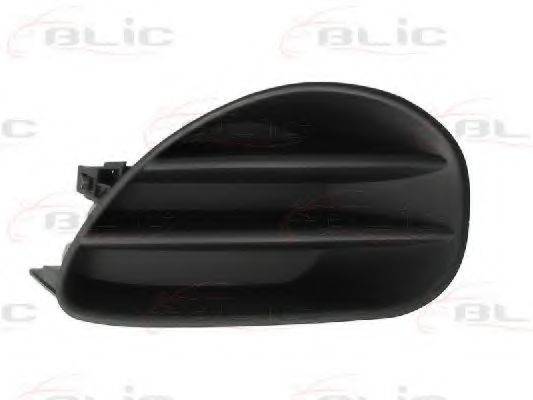 BLIC 5510-00-8155995PP