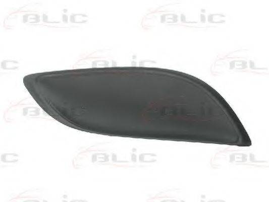 BLIC 5510-00-8155998PP