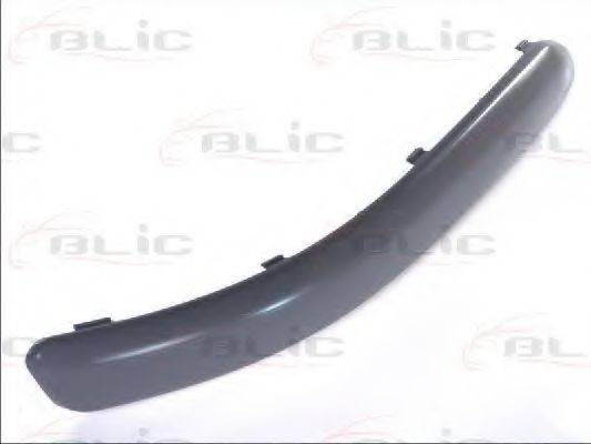 BLIC 5510-00-9506924P