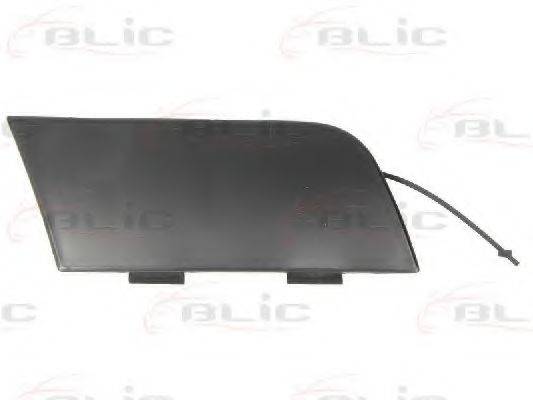 BLIC 5513-00-0031920P