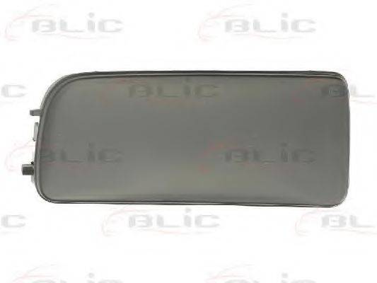 BLIC 5513-00-0060925P