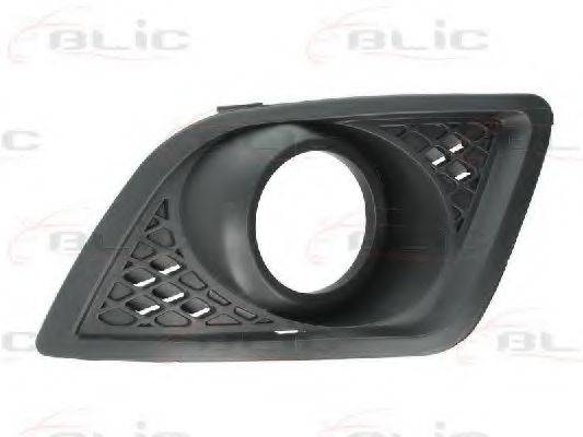 BLIC 5513-00-2564925P