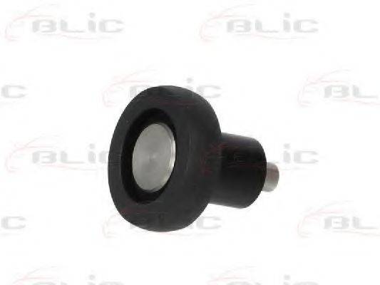 BLIC 6003-00-0157P