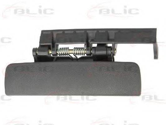 BLIC 6010-08-005401P