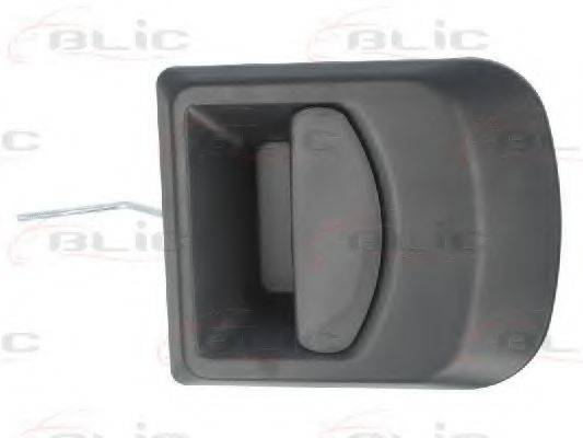 BLIC 6010-30-002401P