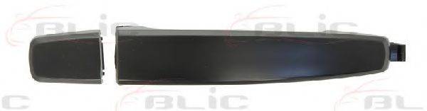 BLIC 6010-56-005406P