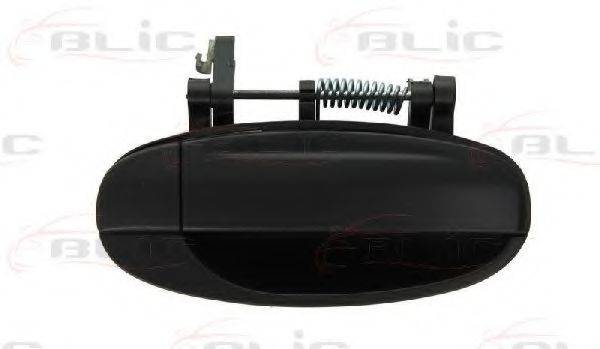 BLIC 6010-56-008404P