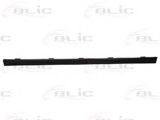 BLIC 6502-07-0035995P