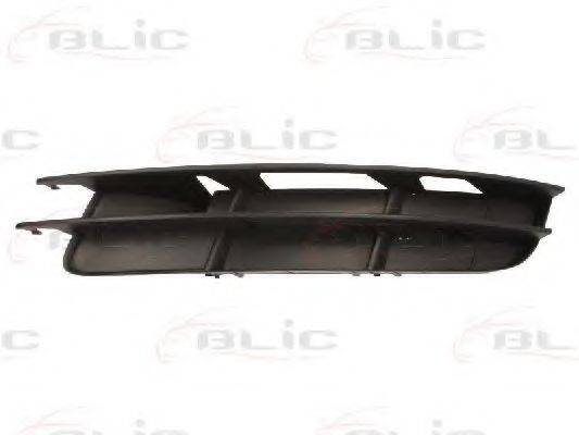 BLIC 6502-07-0040995P
