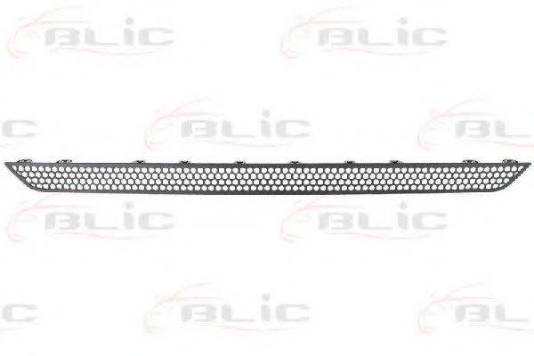 BLIC 6502-07-3560911P