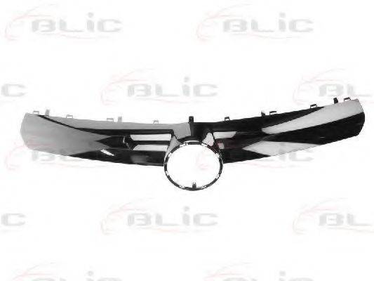 BLIC 6502-07-5063991P