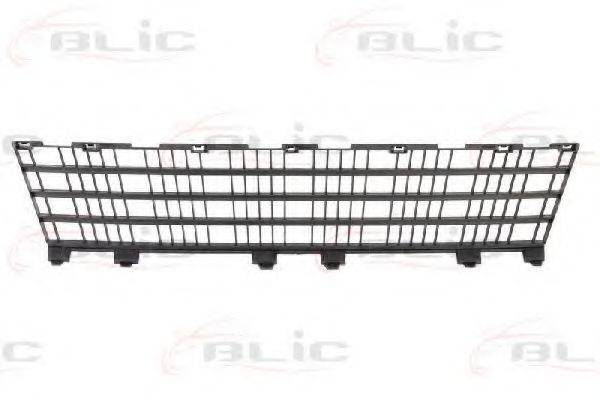 BLIC 6502-07-6033994P
