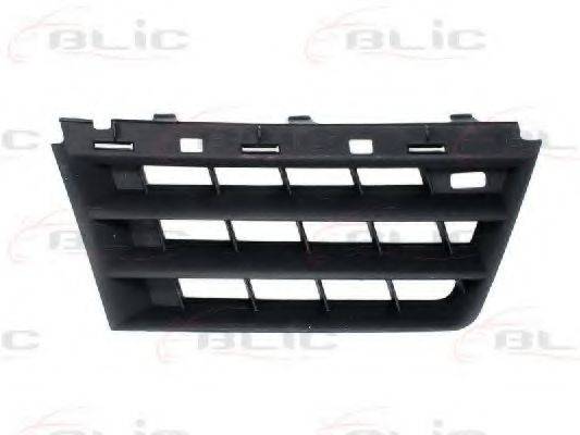 BLIC 6502-07-6042992P
