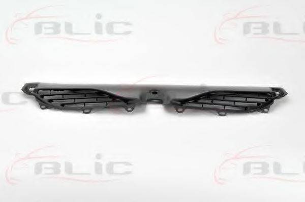 BLIC 6502-07-6049990P