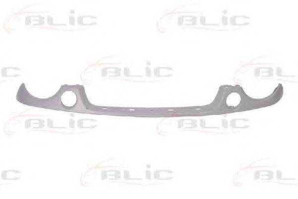 BLIC 6502-07-9501210P