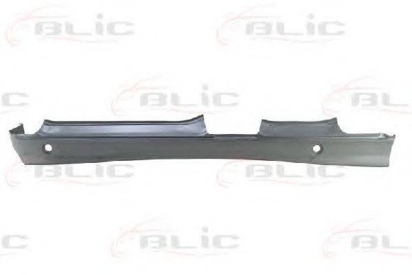 BLIC 6505-06-0060011P