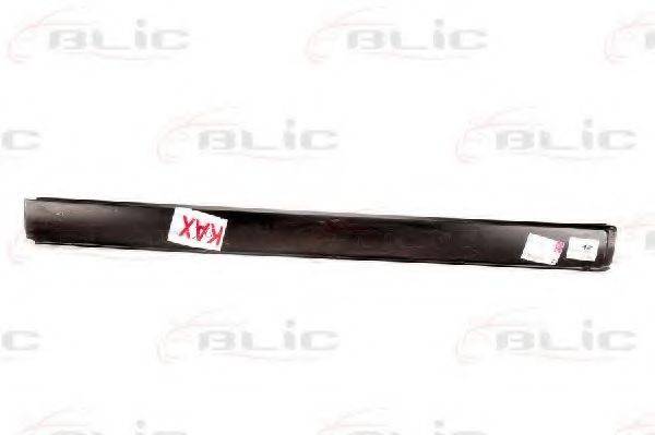 BLIC 6505-06-2542002P