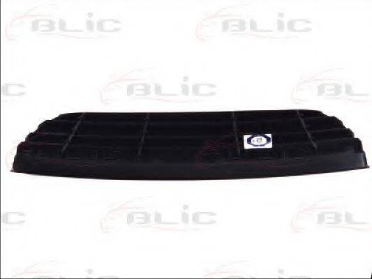 BLIC 6509-01-9506999P