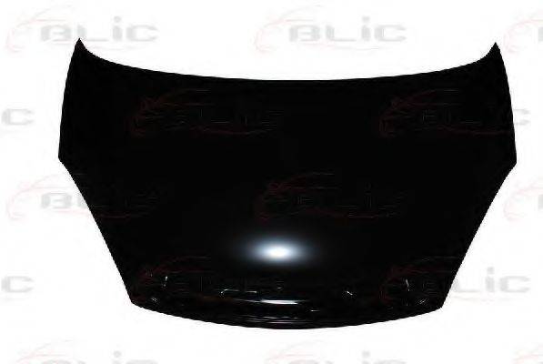 BLIC 6803-00-0536280P