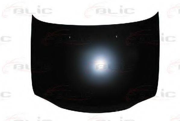 BLIC 6803-00-1608281P