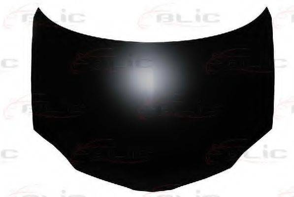BLIC 6803-00-1670280P
