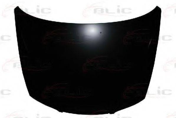BLIC 6803-00-3164280P