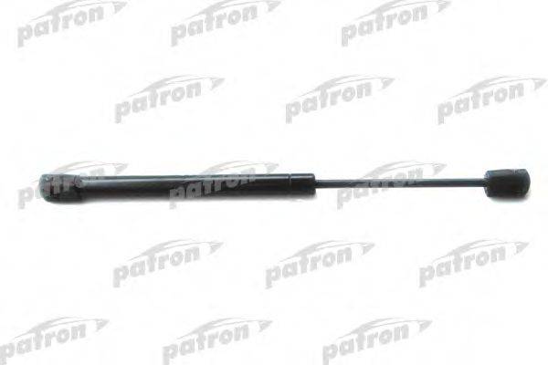 PATRON PGS246557