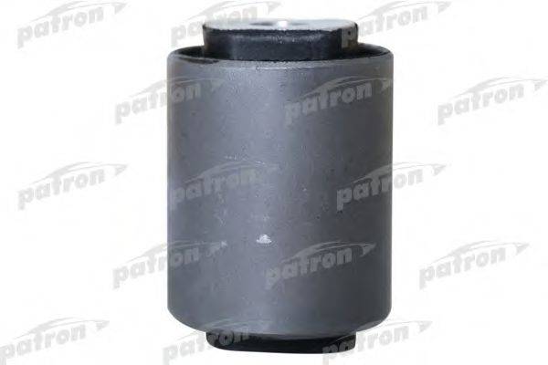 PATRON PSE1913