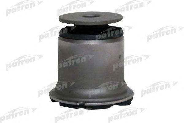 RAYBESTOS 570-1160 Підвіска, важіль незалежної підвіски колеса