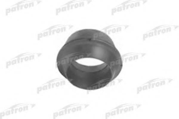 PATRON PSE4173