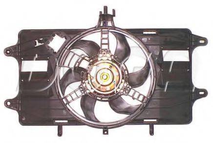 DOGA EFI139
