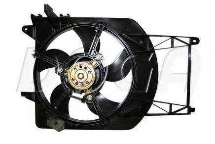 DOGA EFI174