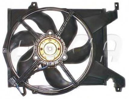 DOGA EVO013