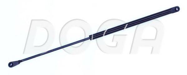 DOGA 2013273