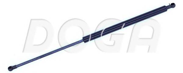 DOGA 2020213
