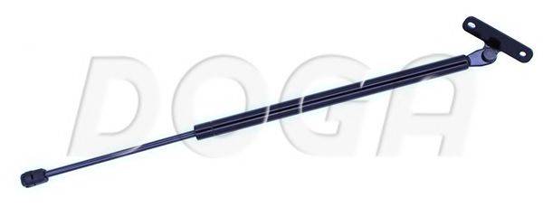 DOGA 2020533