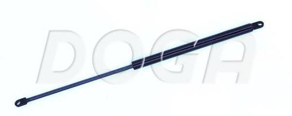 DOGA 2025853