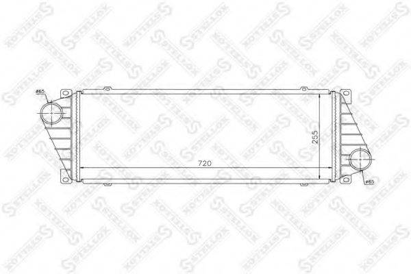 STELLOX 81-10855-SX