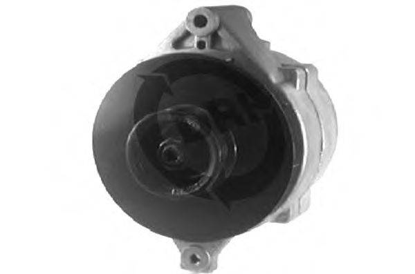 DRI 519028852