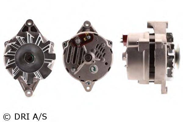 DRI 228106552