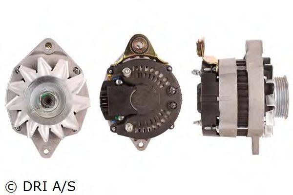 DRI 238112502