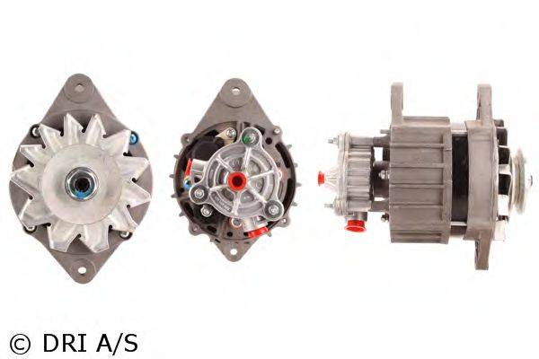 DRI 228109702