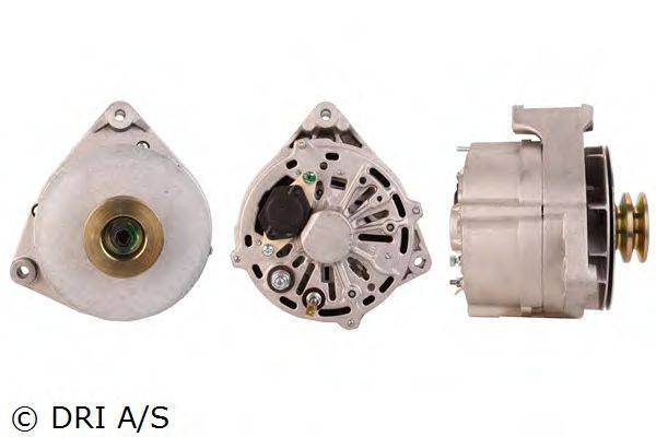 DRI 238120802