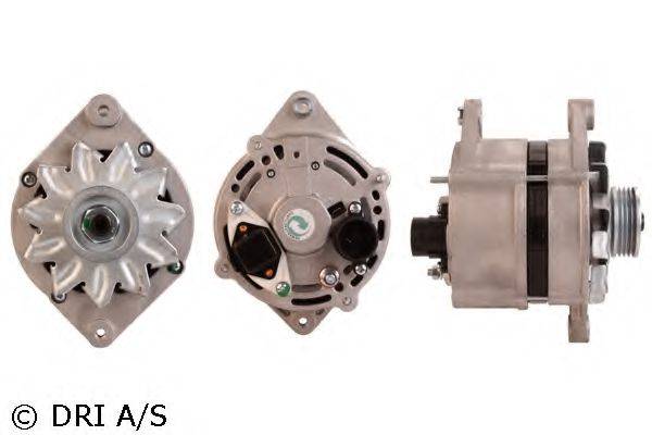 DRI 245105502