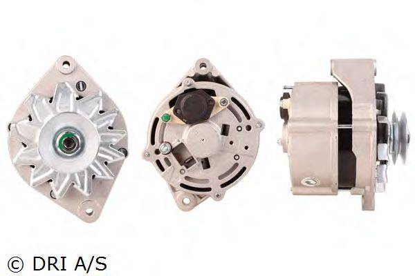 DRI 228108652
