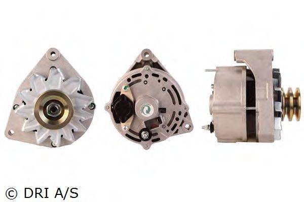 DRI 238124652