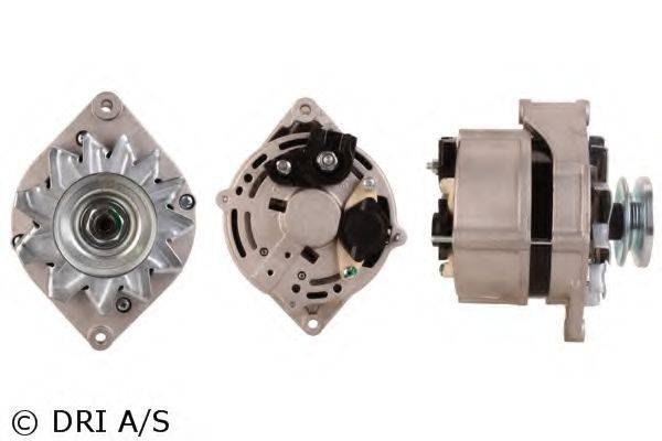 DRI 228168702
