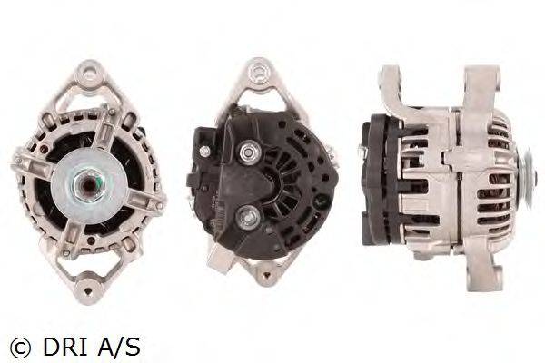 DRI 228139702