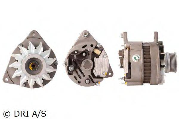 DRI 219187702